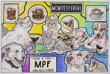 Group of dogs and cats at a bar