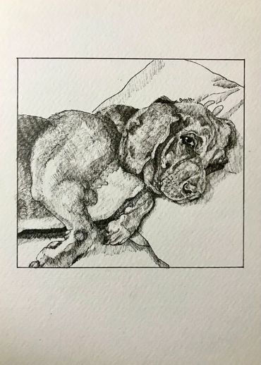 Portrait of a Dog