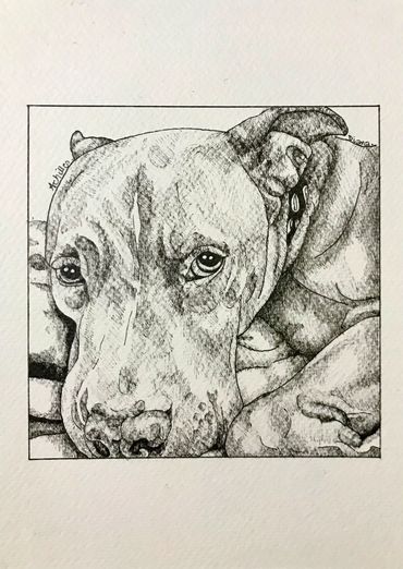 portrait of a dog