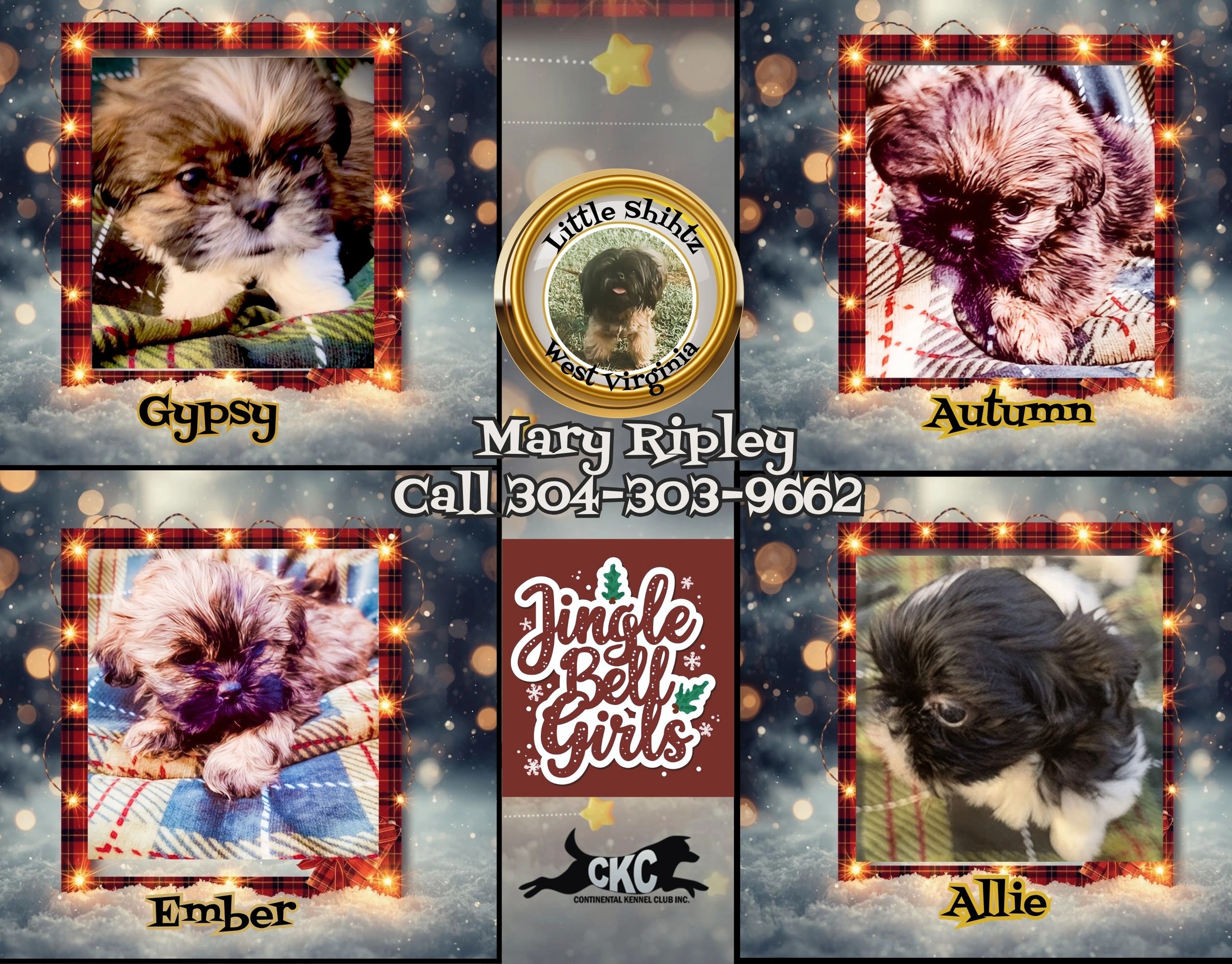 These girls are in West Virginal and are $1700 to adopt