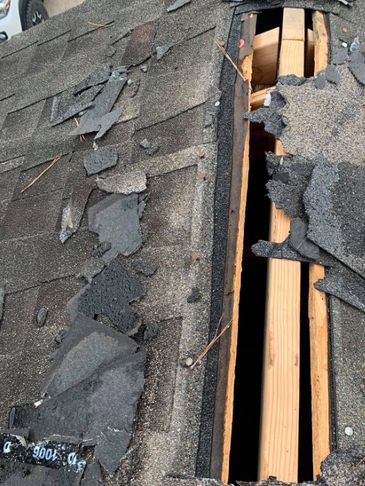 Roof damaged by wildlife