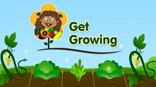 Questions and Answers