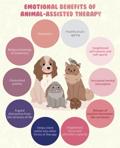 Animal Assisted Therapy.
