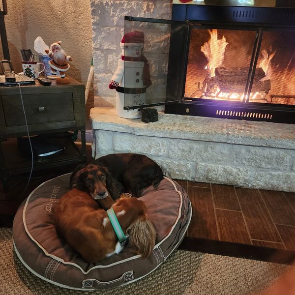 Two dogs cuddling in front of a fireplace.
