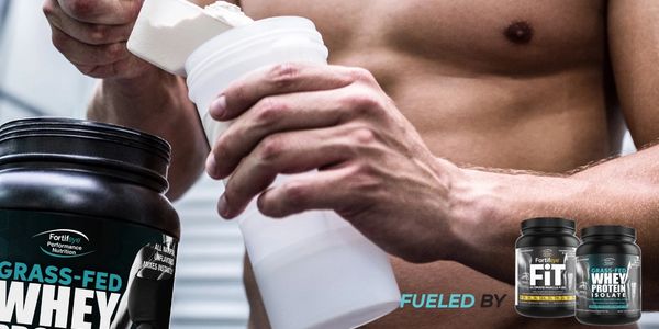 Grass Fed Whey Protein Isolate by Fortifeye is best post workout fuel and best protein supplement