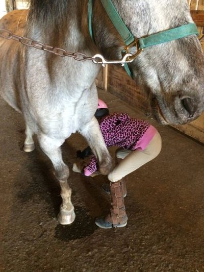 Horseback Riding Camps in Ontario