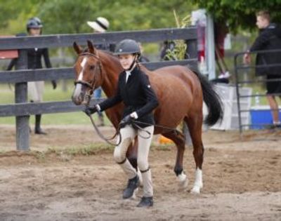 Horseback Riding School in Erin, Ontario