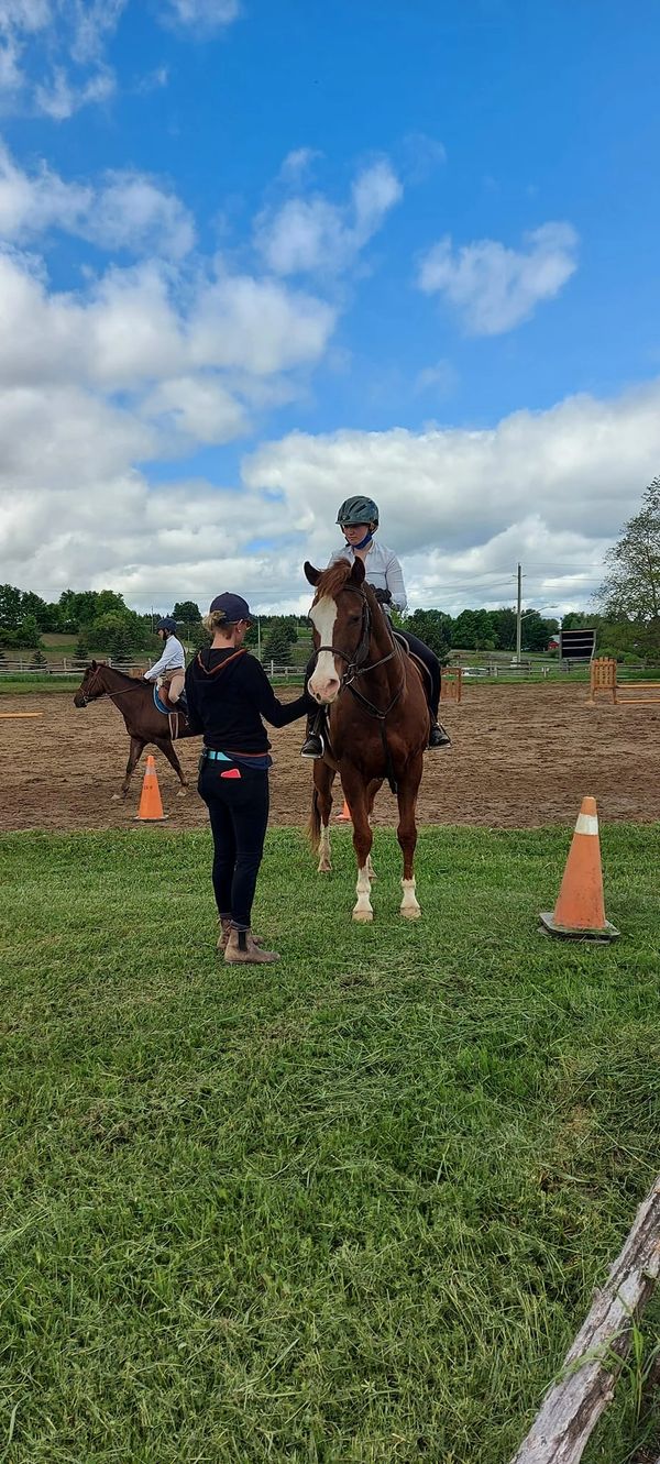 Horse shows ontario