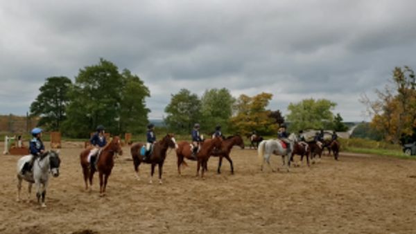 Riding schools in Erin, Ontario