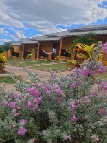 Colorful flowers in front of a row of houses with hammocks under a blue sky.