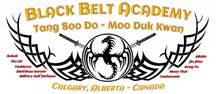 Black Belt Academy 