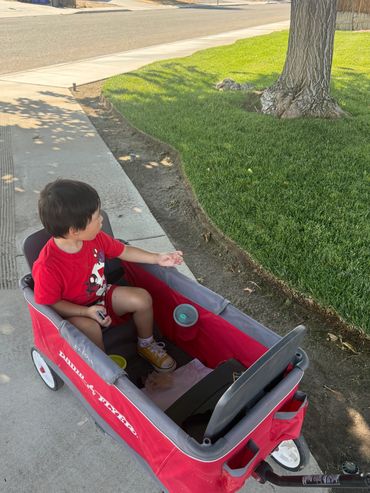 A child in a red wagon on a sidewalk near a grassy area and tree.