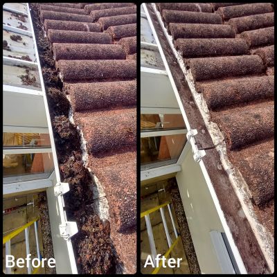 Professional gutter cleaning in Bristol
