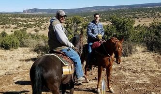 horse back hunting guides arizona outfitters horses backpack trips