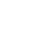 NYC Plover Project