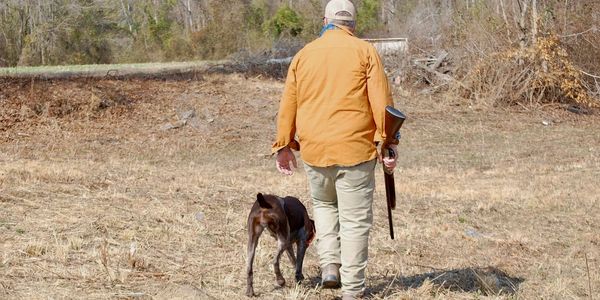 Hunters are welcome to work their companions alongside creating a a chance for you and your dog to l