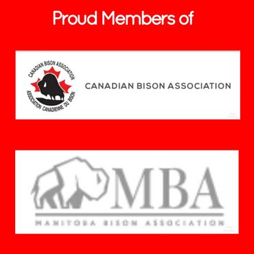 Canadian Bison Association Manitoba Bison Association 