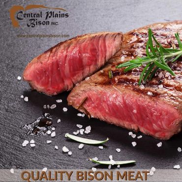 bison steaks manitoba Central Plains Bison Inc. 
