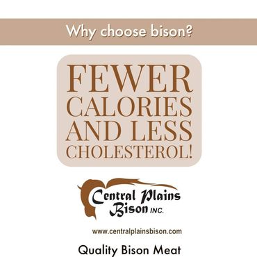 bison meat health benefits