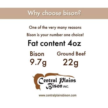 why choose bison meat