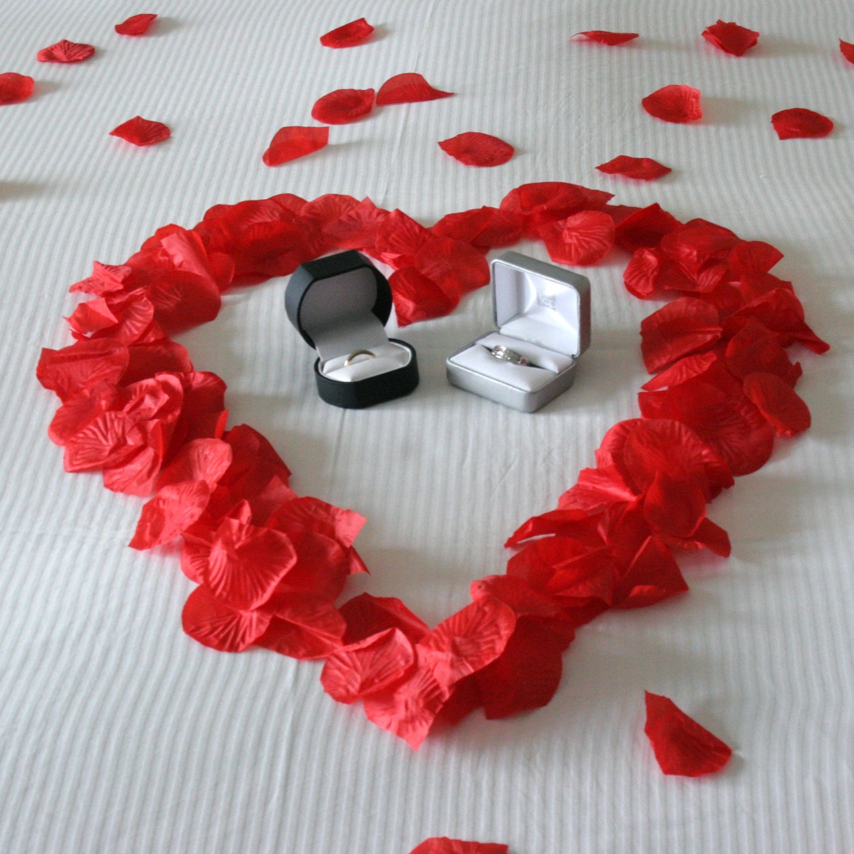 Wedding ring and band inside a heart of rose petals