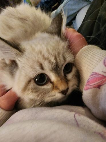 Astrielle looking at my two year old