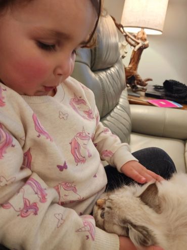 My toddler so excited to cuddle a kitten