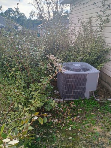 Outdoor air conditioning unit surrounded by dense bushes near a house.