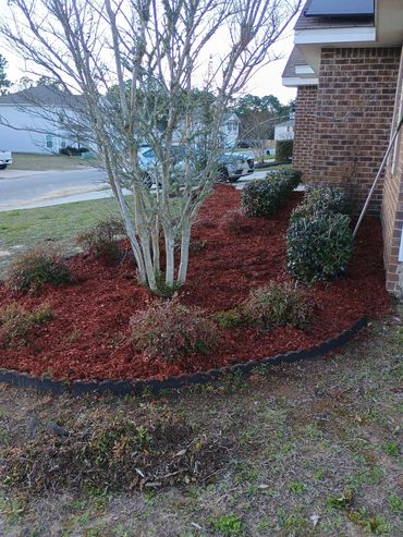 Mulched garden bed with shrubs and a tree beside a brick house.