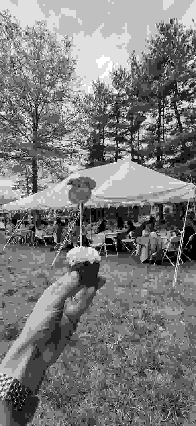 Party rentals in Fairfield County and New Haven County