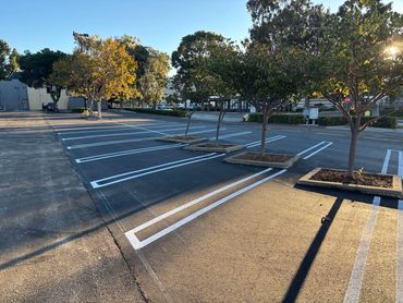 Integrous Paving completed fresh white parking lines and accessible space markings in a paved lot.