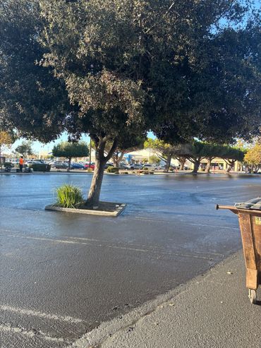 Newly paved commercial parking lot completed by Integrous Paving