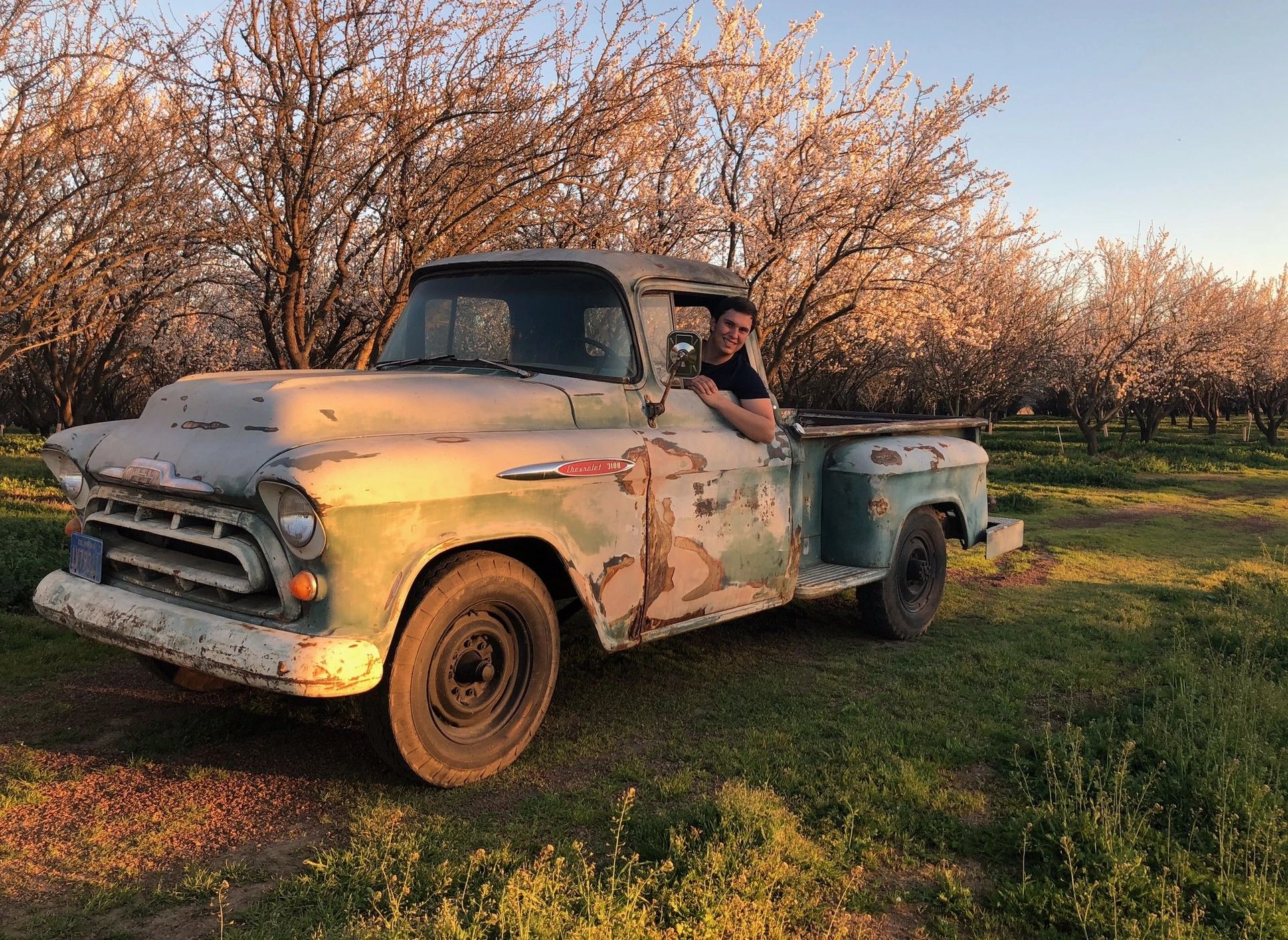Young co-owner Jimmy Bremner smiles from his 1957 Chevy surrounded by our blossoming almond orchard.