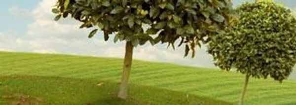 Greater Bay Relocation Services