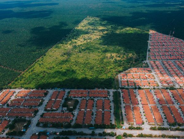 Overhead view of forested land with housing subdivisions.