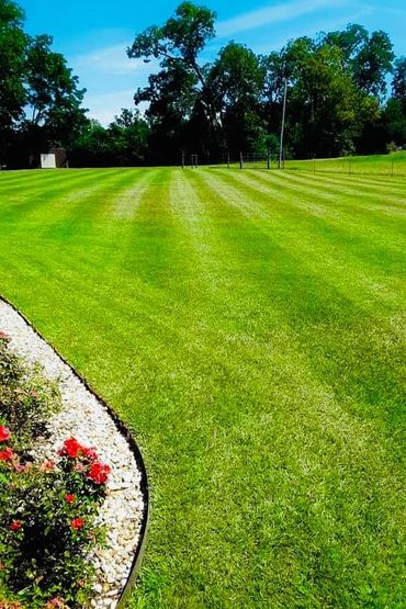 Beautifully cut and striped lawn