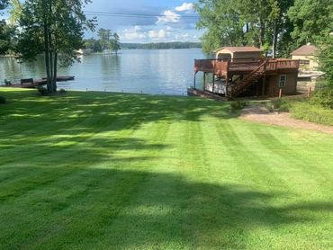 Fresh sod with a fresh stripe cut