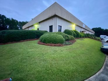 Fresh lawn and garden makeover