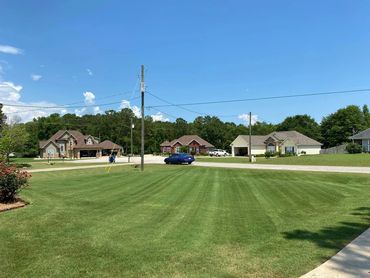 Beautiful striped yard