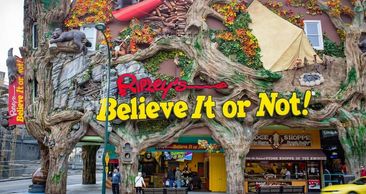 Museums in Gatlinburg