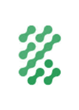 Green leaf with water droplets on a white background.