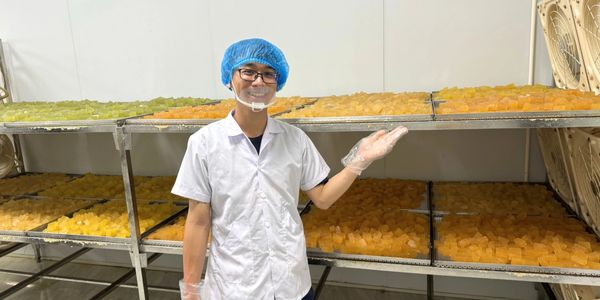 at sea moss gummies factory