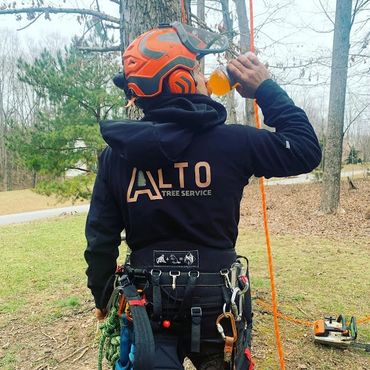 alto tree service