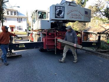 REMOVAL OF A LARGE TREE WITH CRANE TREE SERVICE