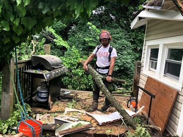 TREE CUTTING STORM DAMAGE TREE SERVICE EMERGENCY TREE WORK TREE REMOVAL SERVICE