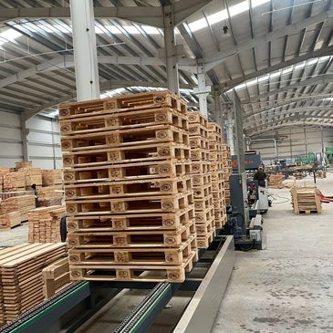 Fruits, Vegetables, Herbs & Spices, Frites, Tomato Paste, EPAL Pallets, Cement & Clinker, Egypt