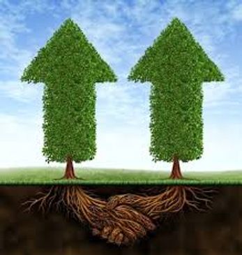 Fruits, Vegetables, Herbs & Spices, Frites, Tomato Paste, EPAL Pallets, Cement & Clinker, Egypt