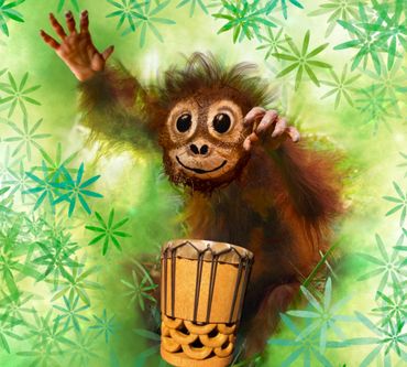 A playful baby orangutan with a drum in a vibrant green setting.