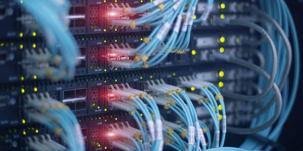Network cabling connected to business equipment