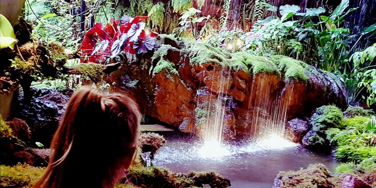 Gardens by the bay 
Singapore 
Beautiful gardens a must see 
Top Attraction in Singapore